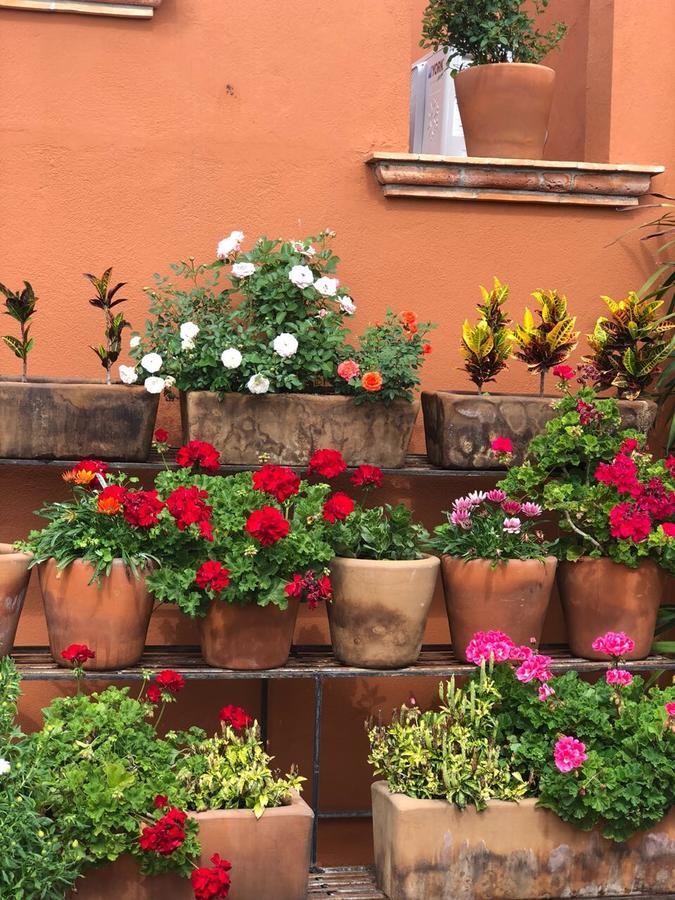 Xacalli Hotel San Miguel de Allende Dış mekan fotoğraf
