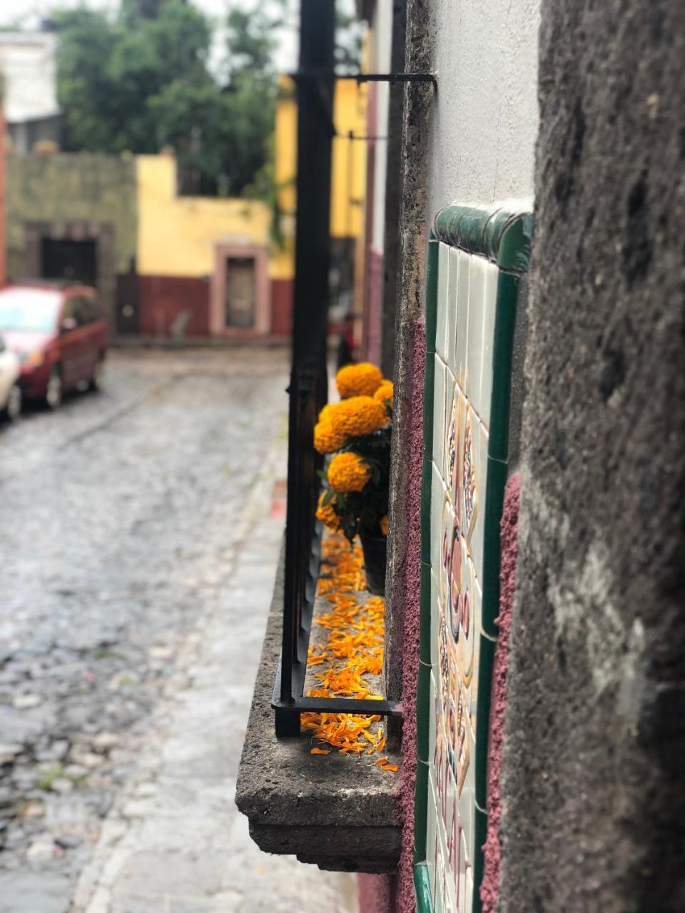 Xacalli Hotel San Miguel de Allende Dış mekan fotoğraf
